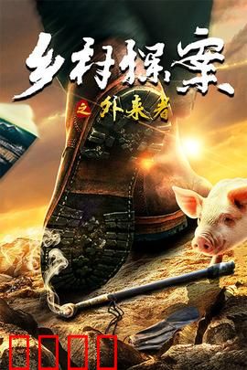 乡村探案之外来者：神秘陌生人