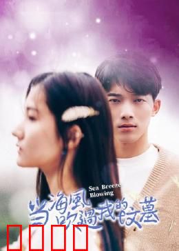 当海风吹过我的坟墓：穿越时空的思念