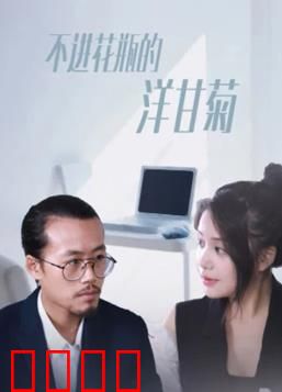 不进花瓶的洋甘菊：野花倔强