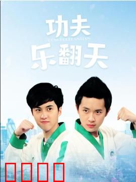功夫乐翻天：爆笑武术奇缘