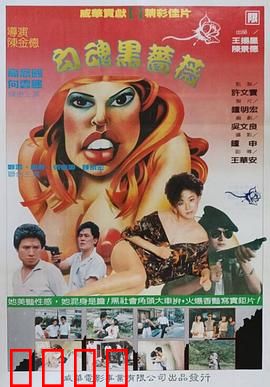 勾魂黑蔷薇：午夜诅咒的绽放