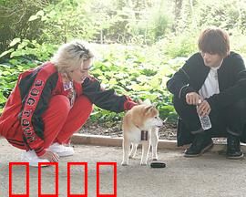 难破MG5特别篇：最强不良的毕业