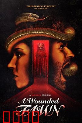 受伤的小鹿：森林救赎