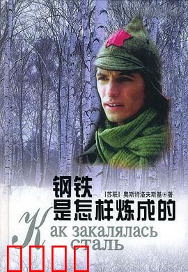 钢铁是怎样炼成的：烈火铸魂