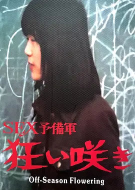 淡季花开：逆境绽放的希望