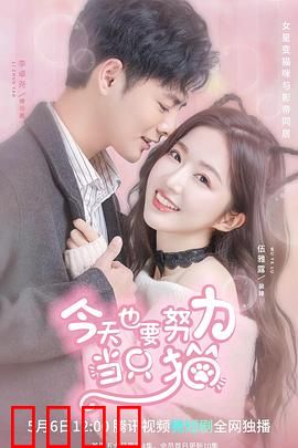 今天也要努力当只猫：猫魂附体