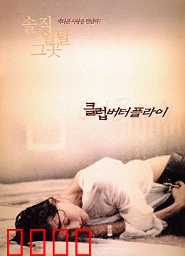 交换温柔：爱情的意外交换