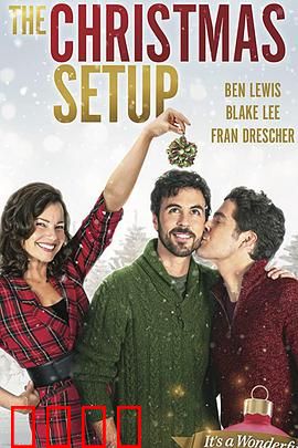 圣诞速配：假日爱情计