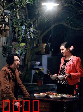 鲜花盛开的村庄：田园治愈之旅