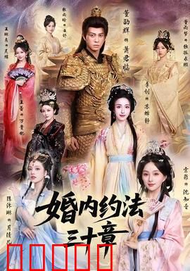 婚内约法三十章：婚姻智斗记